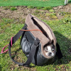 2021_hundeplus_micadog_5a1abf88-de25-49c9-a294-6abff6fc638c