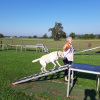 2021_hundeplus_micadog_75c72a6b-89dc-49cd-8bba-2bd417cdf158