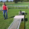 2021_hundeplus_micadog_993a39db-6dd5-4e24-9da3-c8b70a9cbe38