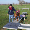 2021_hundeplus_micadog_adb3c02b-b596-46ce-b028-c34cc78c62a3