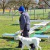 2021_hundeplus_micadog_ca12fba5-46bb-4a8f-98ad-6f094dce888f