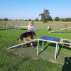 2021_hundeplus_micadog_e640e141-312a-4c43-83b1-ab30d6108d2a