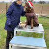 2021_hundeplus_micadognadac_7753d347-146e-4ec2-97eb-03c9504acecb