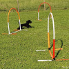 2021_hundeplus_micadognadac_98774ff7-71bf-402b-9bed-dba35fea8d47