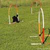 2021_hundeplus_micadognadac_a7483287-1cea-4ba5-9aae-119df14821d0