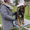 2021_hundeplus_micadognadac_c9cb3de9-a253-4b0e-b9aa-2ac86a17a155