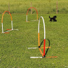 2021_hundeplus_micadognadac_e8e3074f-a4b1-4b0a-b6a3-860aa690c223