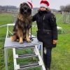 2021_hundeplus_micadognadac_ef1a6896-d0bc-419d-b6ce-4f04e11cad1e