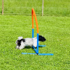 2021_hundeplus_nadac_IMG_6928