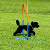 2021_hundeplus_nadac_IMG_6947