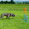 2021_hundeplus_nadac_IMG_6951
