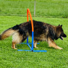 2021_hundeplus_nadac_IMG_6962