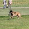 2012_military-plausch_IMG_5849