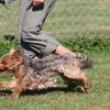 2012_military-plausch_IMG_6024