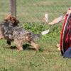 2012_military-plausch_IMG_6028