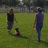 2017_minis_IMG_2642