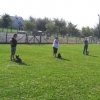 2017_minis_IMG_2645