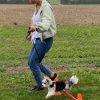 2020_hundeplus_minis_IMG_0838