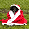 2024_Hundeplus_Minis_IMG_3022