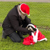 2024_Hundeplus_Minis_IMG_3029
