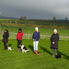 2024_hundeplus_minis_IMG_0312