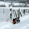 2024_hundeplus_minis_IMG_0808