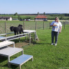 2023_hundeplus_micadog-nadac_184a658d-1df0-4114-96dc-b25c65b0cf83