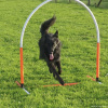 2023_hundeplus_micadog-nadac_3beb58d4-fe37-4f28-8e45-e52d682670a5