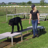2023_hundeplus_micadog-nadac_3e567274-9db2-4e4a-869e-43b4500efc7f