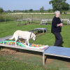 2023_hundeplus_micadog-nadac_444aa75f-9f27-4503-9251-7204495d8d22