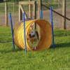 2023_hundeplus_micadog-nadac_5655ac65-199d-4379-aedc-07349bf0468f
