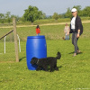 2023_hundeplus_micadog-nadac_6277feb9-1ed6-4e54-b8e4-f903f8ac0f42