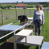 2023_hundeplus_micadog-nadac_8fb61875-a702-4bb2-928d-cc7f51f740ae
