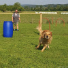 2023_hundeplus_micadog-nadac_907b2f69-2bd3-469a-916d-1b5d71ba6736