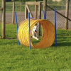 2023_hundeplus_micadog-nadac_90c1e63c-0871-4f77-abb2-ba8f2f2206f6