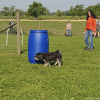 2023_hundeplus_micadog-nadac_add88a80-ef3d-4fca-bffa-c044d5e6463e