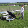2023_hundeplus_micadog-nadac_ccf646eb-1f78-457f-a49c-d485ba2f6cdc