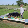2023_hundeplus_micadog-nadac_d8e2f1da-dbc7-4ee7-aca8-a8224c6751c6