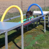 2023_hundeplus_micadog_21deb849-5303-4a50-9919-6a6580298e40