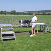 2023_hundeplus_micadog_5c8e431d-4d44-46fc-b26f-56cf3e0fa10a