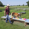 2023_hundeplus_micadog_6b0d8a18-2e38-407d-9b44-e6d733156356