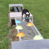 2023_hundeplus_micadog_8c58b078-7551-4240-ae3b-43d1e9e3b1cc