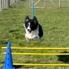 2023_hundeplus_micadog_IMG_4714