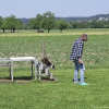 2023_hundeplus_micadog_c5a4a788-f7ec-4c4e-ae55-c5ba4c8a6f3d