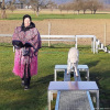 2023_hundeplus_micadog_d1d7e6ae-420b-4056-85dd-47c310029e78