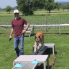 2023_hundeplus_micadog_e6a5f68f-c48a-485b-9a9d-edb2e3e8dfd8