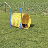 2023_hundeplus_nadac_17757fb0-9882-4084-9584-d92a347a309d