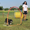2023_hundeplus_nadac_61825ce5-f0f1-4785-9e1e-310339eb5631