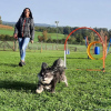 2023_hundeplus_nadac_6cc89404-48d4-421a-9719-8c7676bfe33b