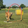 2023_hundeplus_nadac_7b55c927-e537-4b48-9d40-99e4a74dc3a0